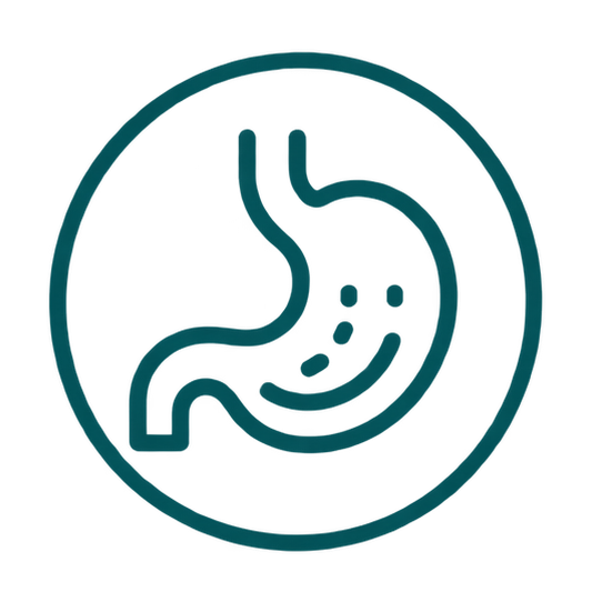 stomach